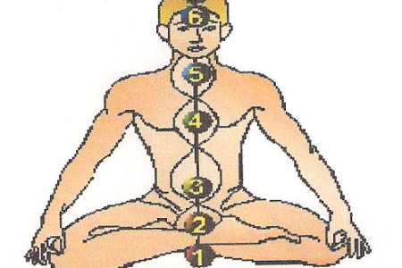Logo VTB YOGA MEISE