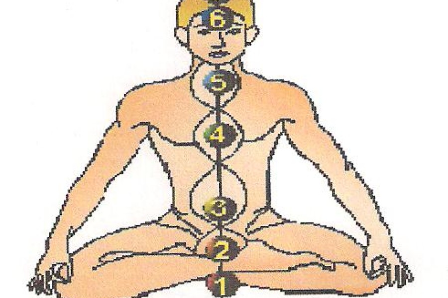 Logo VTB YOGA MEISE